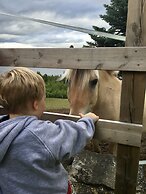 Telemark Camping & Inn-Campground Cabins