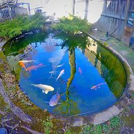 Blue Gables Bed and Breakfast