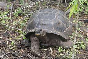 El Paraiso de Isabela