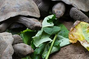 El Paraiso de Isabela