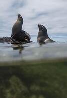 El Paraiso de Isabela