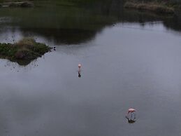 El Paraiso de Isabela