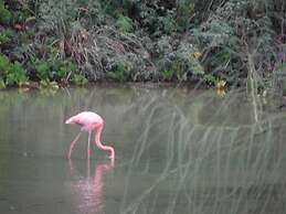 El Paraiso de Isabela