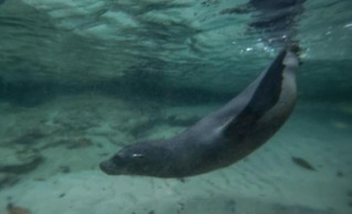 El Paraiso de Isabela