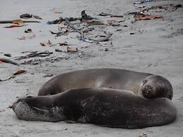 El Paraiso de Isabela