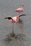 El Paraiso de Isabela