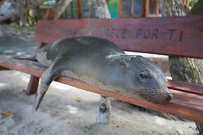 El Paraiso de Isabela