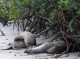 El Paraiso de Isabela