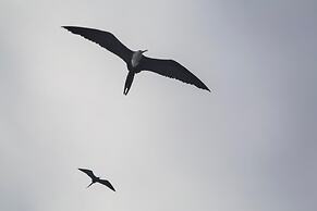 El Paraiso de Isabela