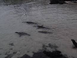 El Paraiso de Isabela