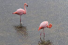 El Paraiso de Isabela