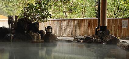 Kirishima Kanko Hotel