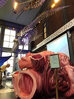 Frederick William House