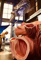 Frederick William House