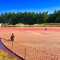 Frederick William House