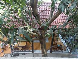 Yellow House Homestay