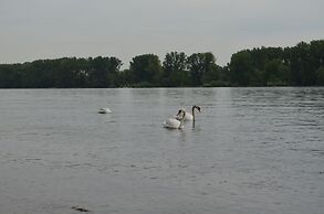 Zwei Raben Pension