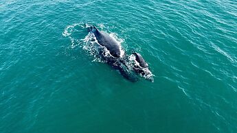 Travessia Beach Lodge