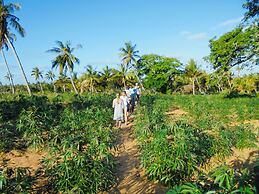 Travessia Beach Lodge