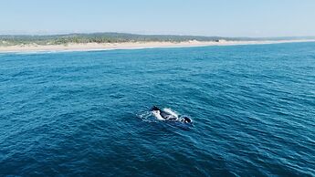 Travessia Beach Lodge