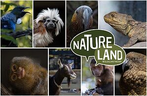 Tahuna Beach Holiday Park