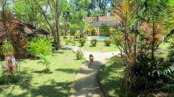 Alonaland Resort Apartelle