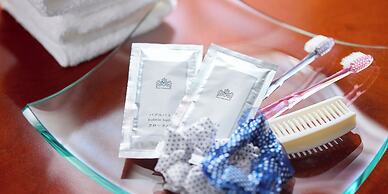 Hotel Amsterdam Huis Ten Bosch