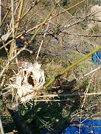 Nouka Minpaku Mirainouen