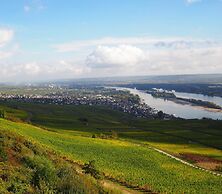 Gasthaus Weingut Stahl