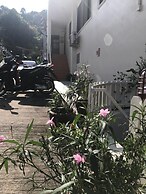 Green Mango Guesthouse - Hostel