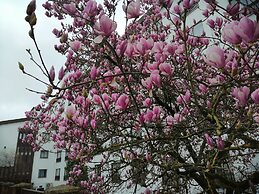 Steyler Fatima Hotel Congress