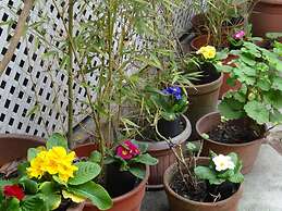 Posada de la Flor