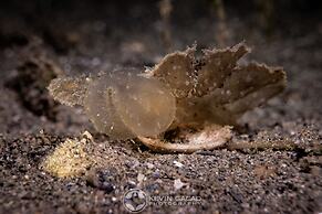 BADLADZ Staycation Condos