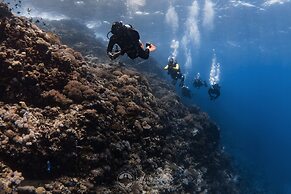 BADLADZ Staycation Condos