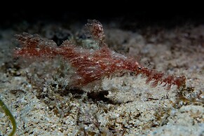 BADLADZ Staycation Condos