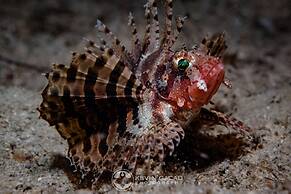 BADLADZ Staycation Condos