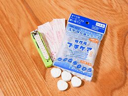 Shirahone Onsen Tsuruya Ryokan