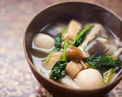 Shirahone Onsen Tsuruya Ryokan