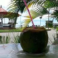 Hôtel des Amandiers