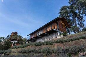 Hotel Savoy Excellence