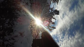 Les Vrais Rayons