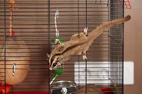 Twin Cities Melbourne - Hostel