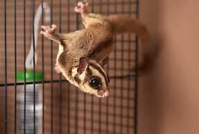 Twin Cities Melbourne - Hostel