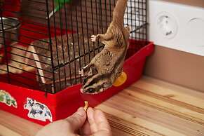 Twin Cities Melbourne - Hostel