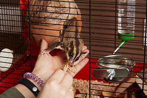 Twin Cities Melbourne - Hostel