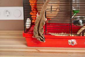 Twin Cities Melbourne - Hostel