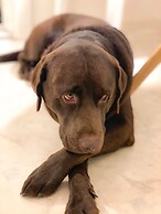 Landhotel Jostalstüble