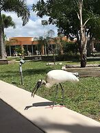 Warm Mineral Springs Motel