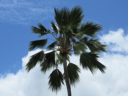 Royal Hawaiian Hospitality