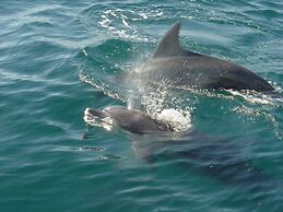 Obama-onsen Hamakan Hotel